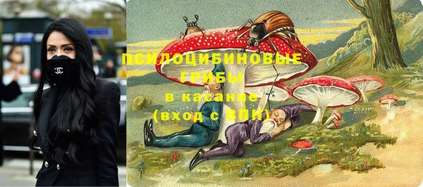 мет Арсеньев