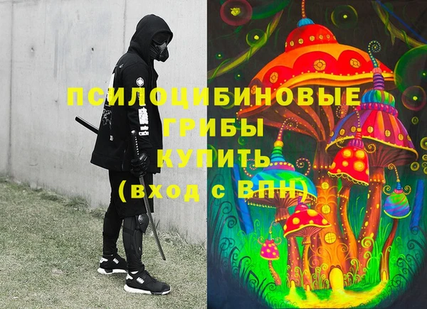 стафф Алексин