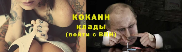 стафф Алексин