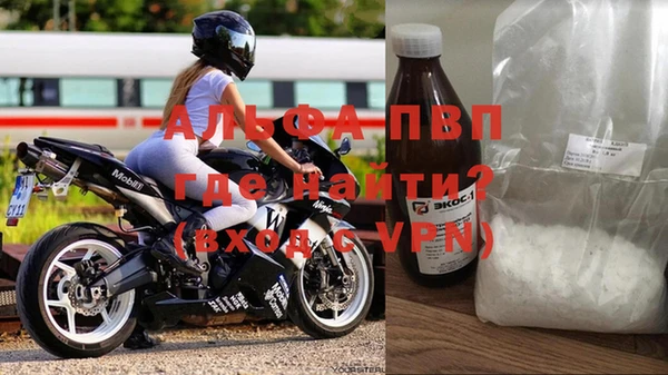 стафф Алексин