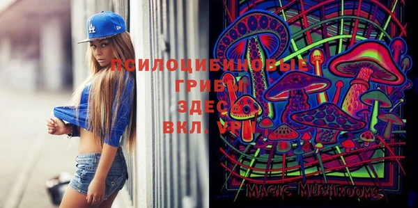 кокс Алзамай