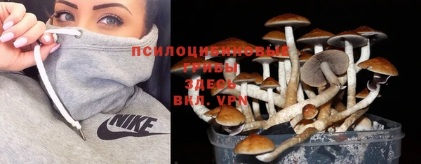 таблы Алексеевка