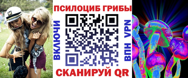 Галлюциногенные грибы Psilocybe  хочу   Заполярный 
